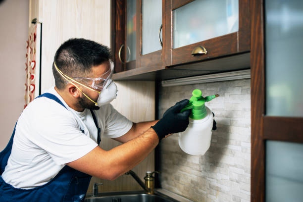 Reliable Pacific, WA Pest Control Solutions
