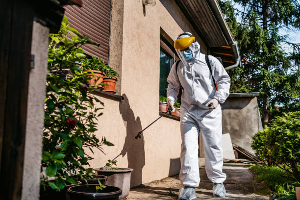 Best Residential Pest Control  in Pacific, WA