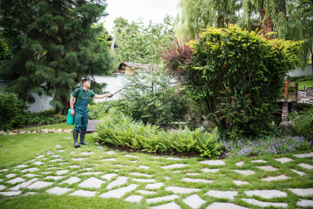 Best Wasp Removal Services  in Pacific, WA