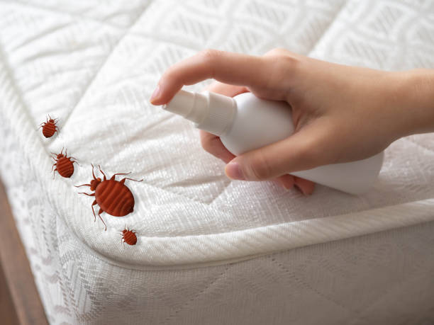 Best Emergency Pest Control  in Pacific, WA