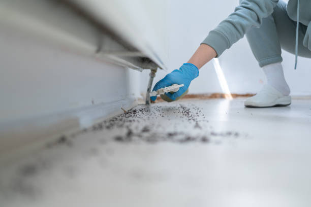 Best Pest Control for Homes  in Pacific, WA